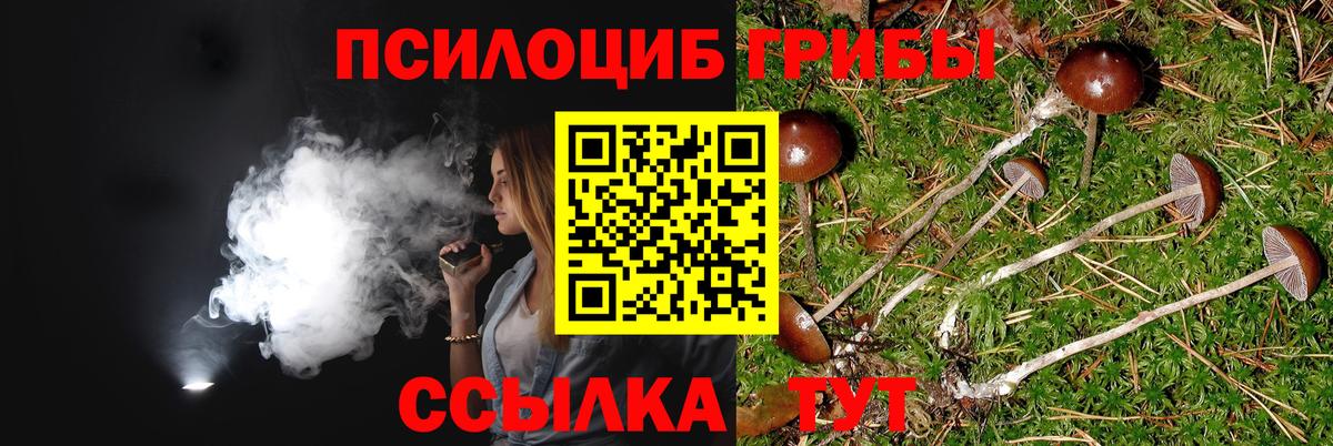 Псилоцибиновые грибы Psilocybe Нурлат