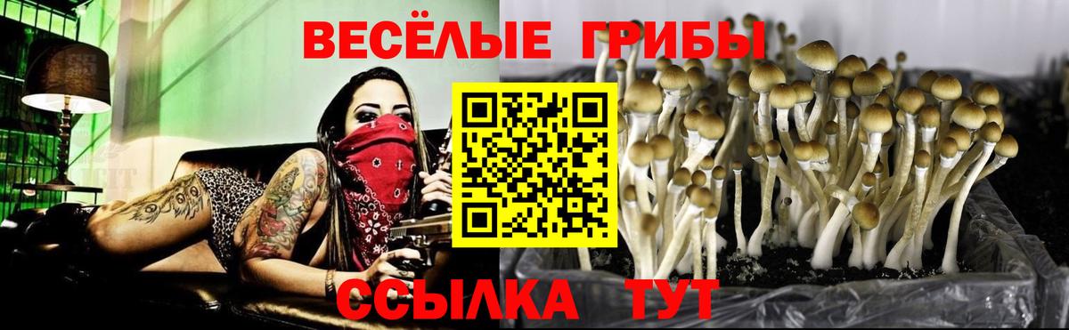 Галлюциногенные грибы прущие грибы  Псилоцибиновые грибы Magic Shrooms  Нурлат  Вход с VPN 